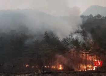 Over 120 mn Americans across dozen states under air quality alerts due to Canadian wildfire smoke