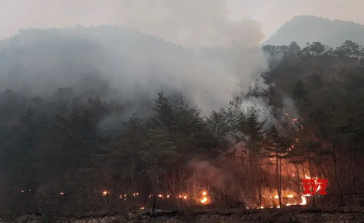 Over 120 mn Americans across dozen states under air quality alerts due to Canadian wildfire smoke