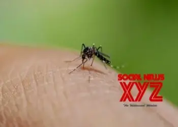 Bangladesh reports 6 new deaths amid surge of dengue fever cases