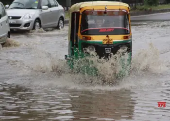 Delhi auto rickshaw driver killed as tree falls on vehicle