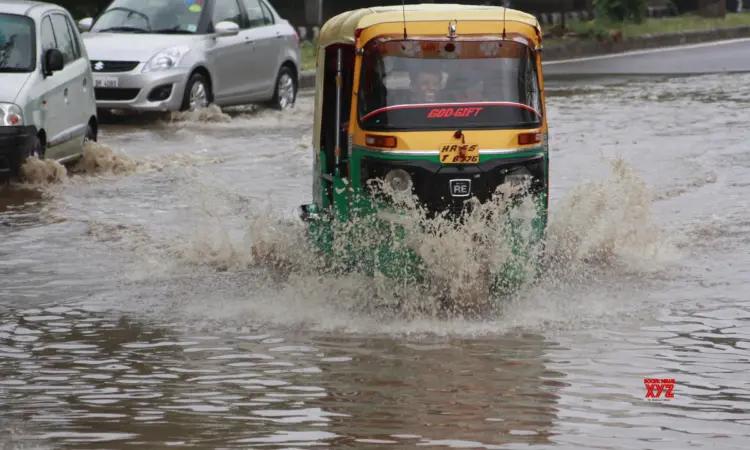 Delhi auto rickshaw driver killed as tree falls on vehicle