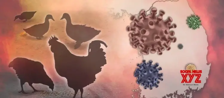 S.Korea reports suspected avian influenza case in cats