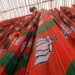 TN BJP core committee meet on July 4, 2024 LS polls main agenda