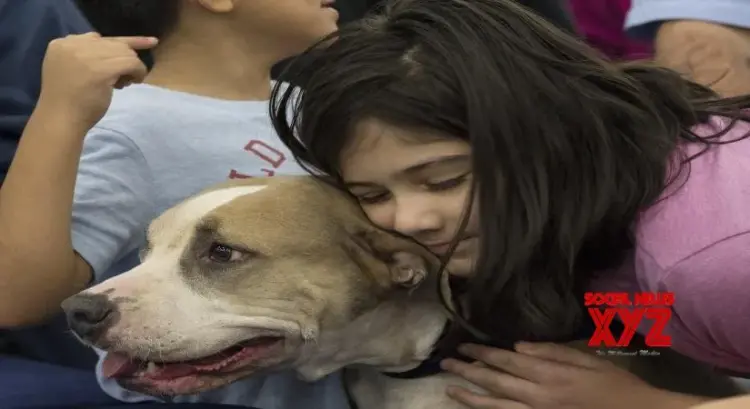 Your canine friends can now pave way for cancer cure in humans