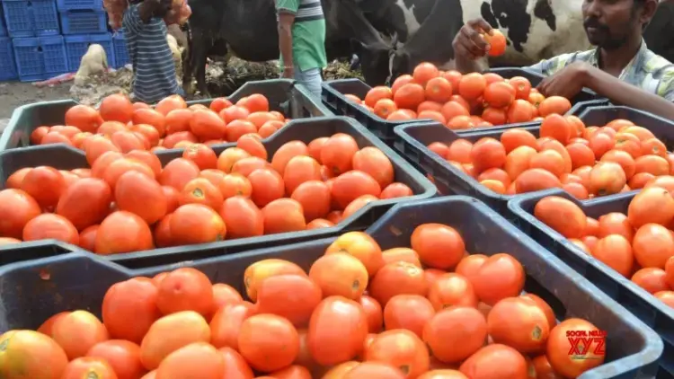 ‘If you stop eating tomatoes, prices will come down’: UP minister