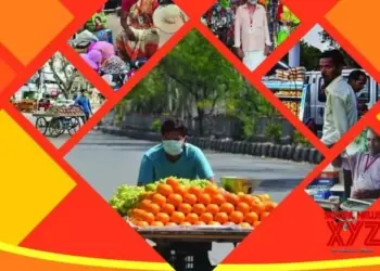 PM SVANidhi: Lending institutions disburse over Rs 522 crore to street vendors in Guj