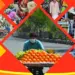 PM SVANidhi: Lending institutions disburse over Rs 522 crore to street vendors in Guj