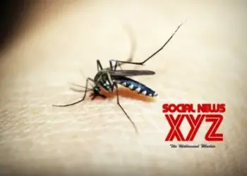 Upsurge in Japanese Encephalitis a cause of concern for Assam