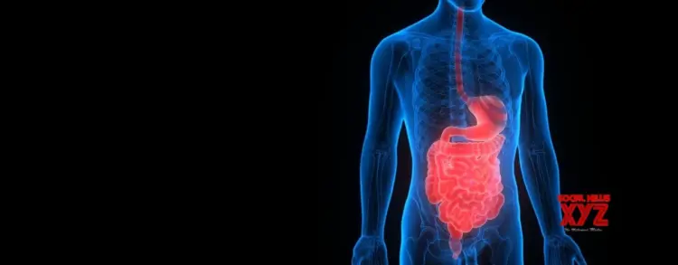 Urbanisation driving inflammatory bowel disease in young Indians: Lancet