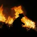 Wildfire in California prompts evacuations, road closures