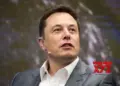 Musk vouches to ‘fight for max freedom of speech under law’ on X