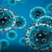 Covid: US CDC says 16% jump in hospitalisation, WHO concerned