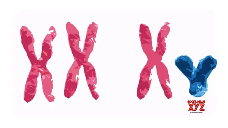 Chromosomes may explain why men experience severe Covid