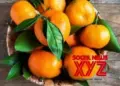 Meghalaya exports 20 metric tons of Khasi mandarin to Dubai