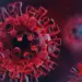 China develops new mutant Covid strain with 100% death rate in humanised mice