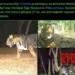 Odisha govt to set up first ‘black tiger safari’