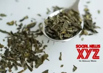 What Taylor Swift should know about anxiety supplement L-theanine