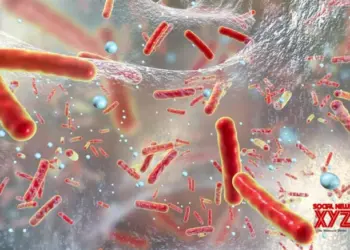 After seven years, WHO updates antibiotic-resistant bacteria list