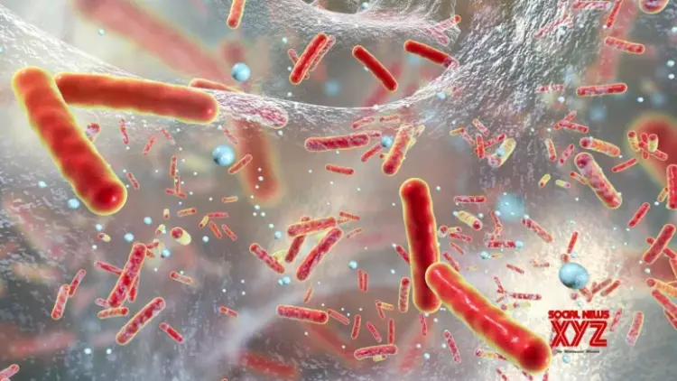 After seven years, WHO updates antibiotic-resistant bacteria list