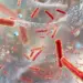 After seven years, WHO updates antibiotic-resistant bacteria list