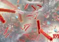 After seven years, WHO updates antibiotic-resistant bacteria list