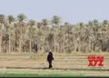 Extreme heat hits Iraq as temperature exceeds 50 degrees Celsius