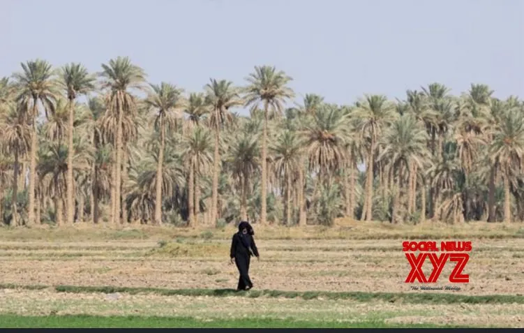 Extreme heat hits Iraq as temperature exceeds 50 degrees Celsius