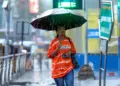 Heavy rains likely in Maha, Goa, & K’taka; heatwave to continue in some parts: IMD