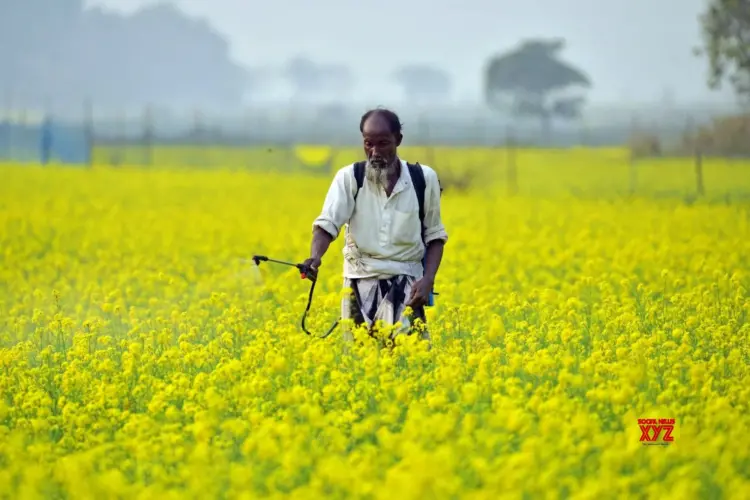 UP govt to set up farmer-producer cell to boost agriculture