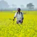 UP govt to set up farmer-producer cell to boost agriculture