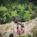 5 picknickers drown in Pune waterfall; 3 bodies recovered from nearby dam
