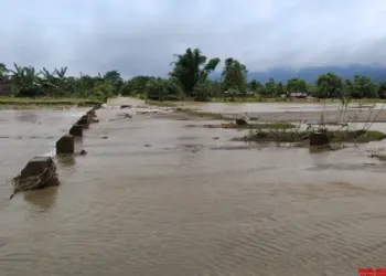 Assam flood situation continues to ease up, 8.40 lakh people affected