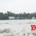 Assam flood situation sees further improvement, 14 lakh people still affected