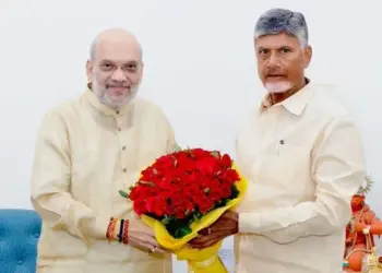 Centre, Andhra Pradesh will devise recovery plan: Chandrababu Naidu