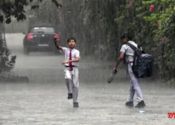 Monsoon to be active in peninsular & central India for next 5 days: IMD