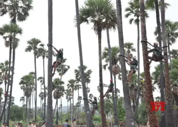 Telangana launches distribution of safety kits for toddy tappers