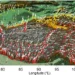 Indian scientists use machine learning to predict crustal movements in Tibetan Plateau