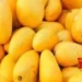 Pakistan exports mangoes to 42 countries, UK largest importer