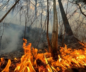 Raging fire forces evacuations in Greece