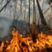 Raging fire forces evacuations in Greece