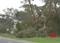 1 dead, thousands without power as severe winds hit Australia
