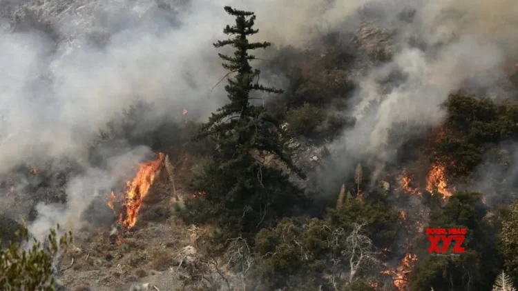 California declares state of emergency amid massive wildfires