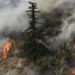 California declares state of emergency amid massive wildfires