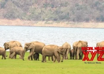 Centre okays Rs 2,603 crore for wildlife habitat development scheme