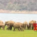 Centre okays Rs 2,603 crore for wildlife habitat development scheme