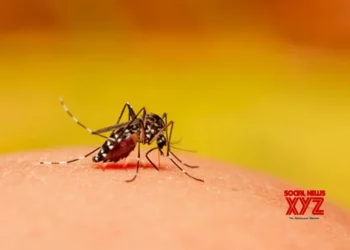 K’taka govt notifies dengue fever as ‘epidemic disease’