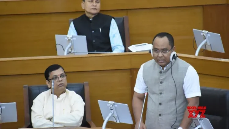 Over 11,460 trees felled in 32 months in Tripura for national highways widening