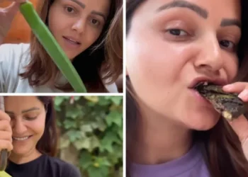 ‘Chotti Bahu’ actress Rubina Dilaik gives a sneak peek of her home-gardening