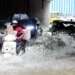 1,079 houses inundated as heavy rain wrecks havoc in Bengaluru