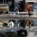 13 Palestinians killed in Israeli airstrike on house in Gaza City